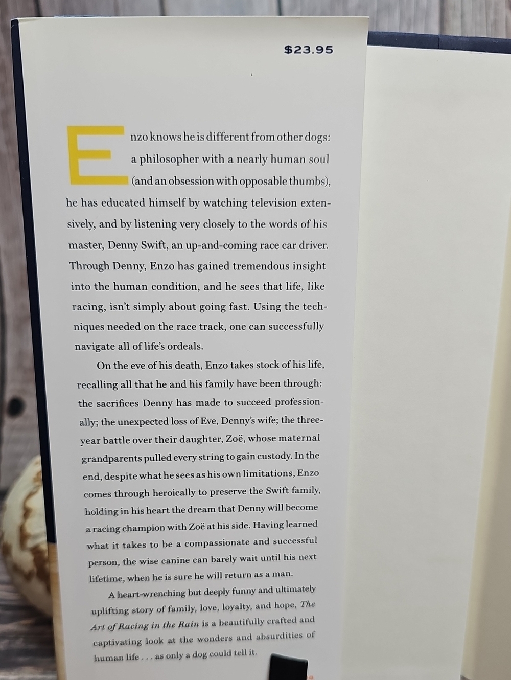 THE ART OF RACING IN THE RAIN A NOVEL BY GARTH STEIN HARDCOVER - Picture 7 of 8
